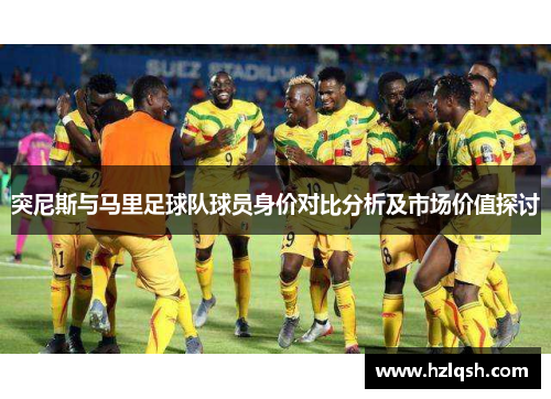 突尼斯与马里足球队球员身价对比分析及市场价值探讨